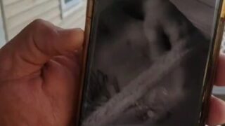 Dominicana madura Monica Bethancourt desnuda