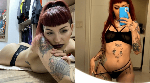 Paquete de gallo 2021