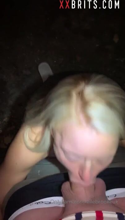 Blowie pública y joder perrito con elle