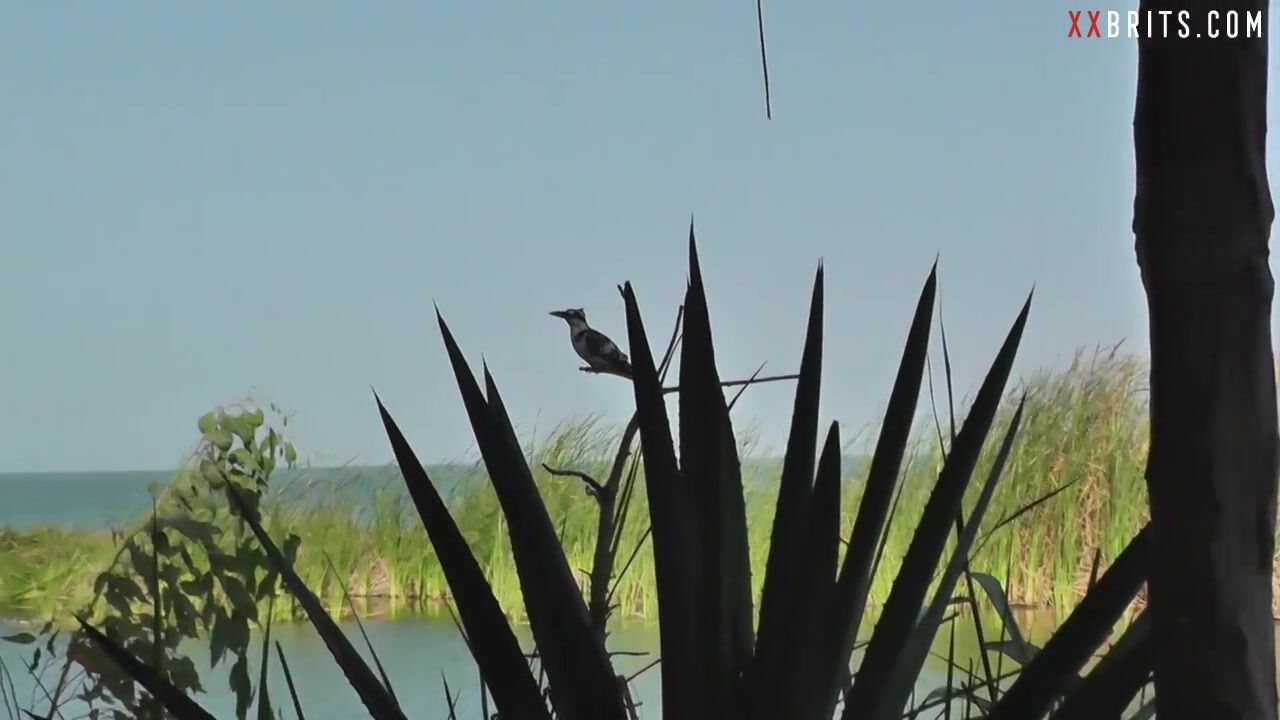 La estrella porno británica Mariah Leonne juega con su coño en público