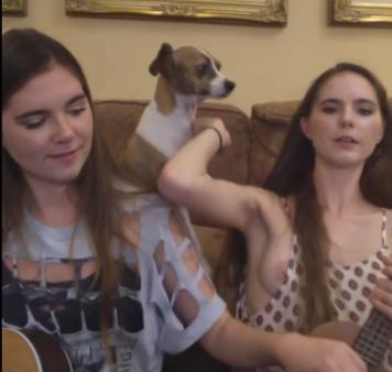 Nina Nelson Nip Slip en transmisión en vivo de YouTube